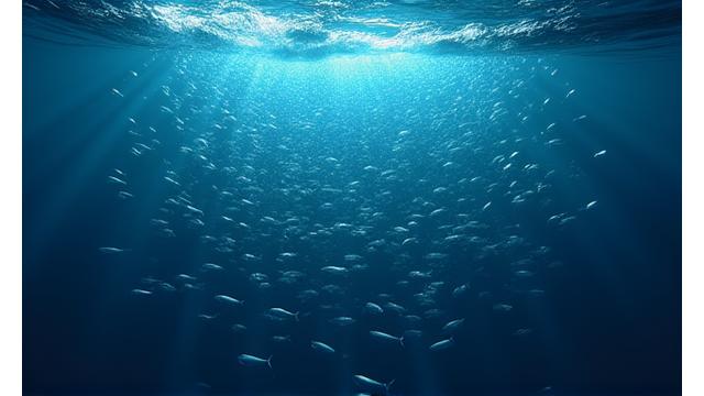 Vídeo demonstrativo de sonar 3D identificando cardumes em tempo real